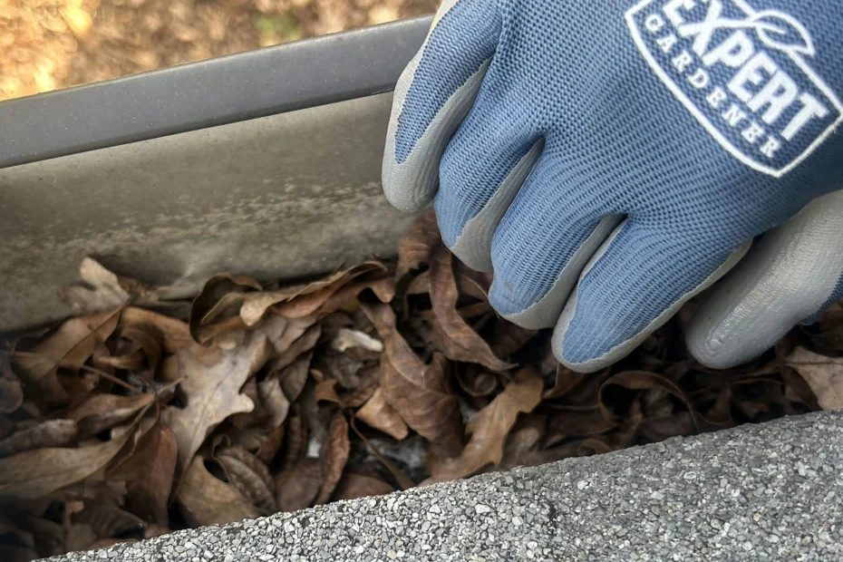 Gutter Cleaning Galena Park, TX