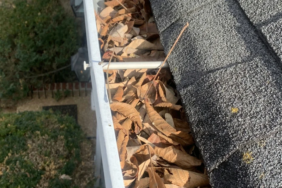 Gutter Cleaning Galena Park, TX